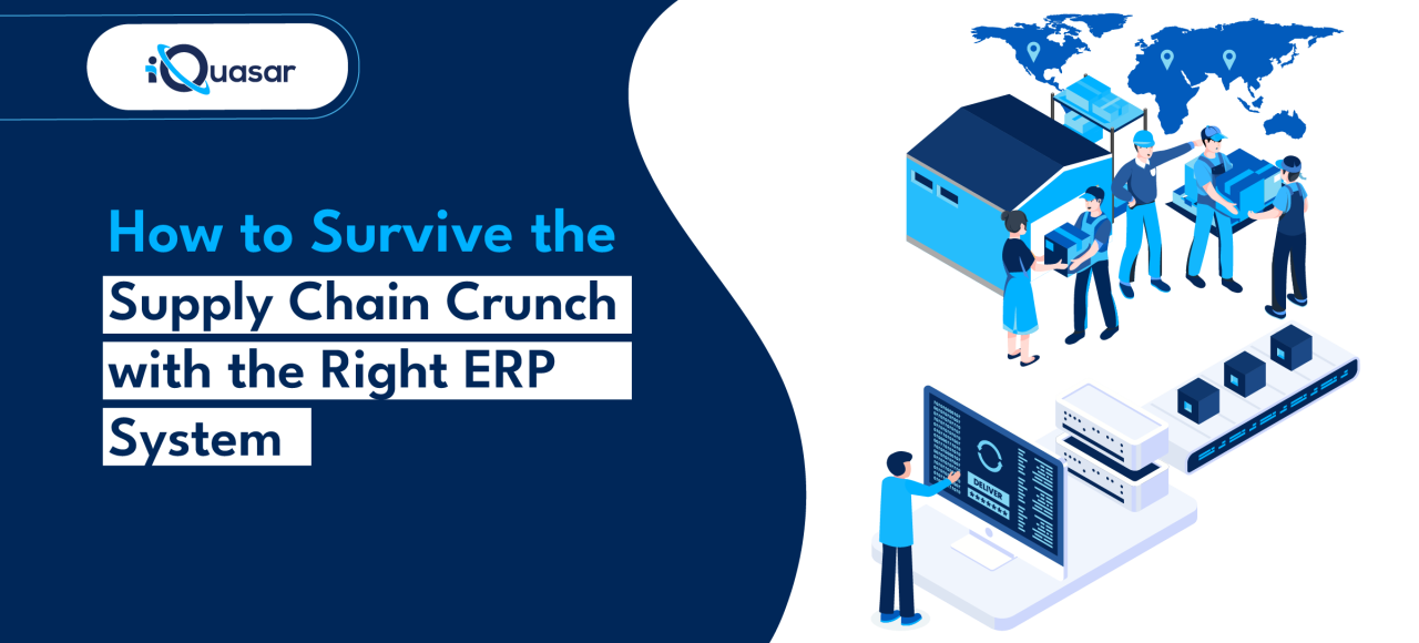 ERP System: How to Survive the Supply Chain Crunch