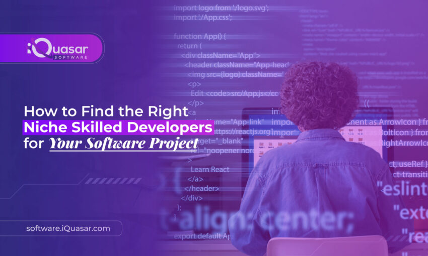 NICHE SOFTWARE DEVELOPERS
