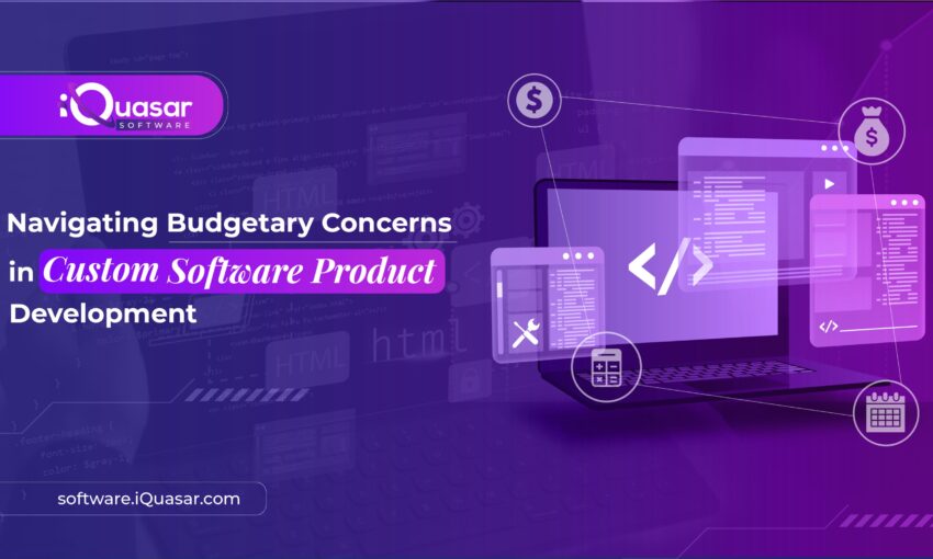 navigating software budget