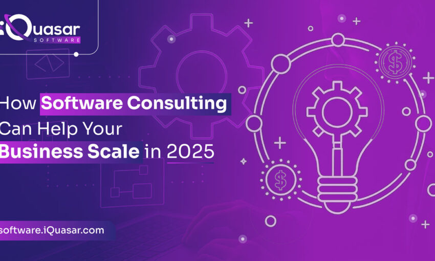 Software Development Consulting