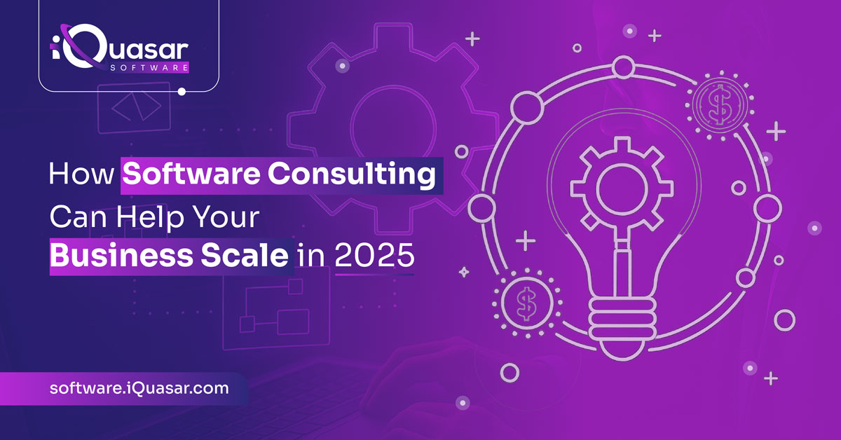 Software Development Consulting